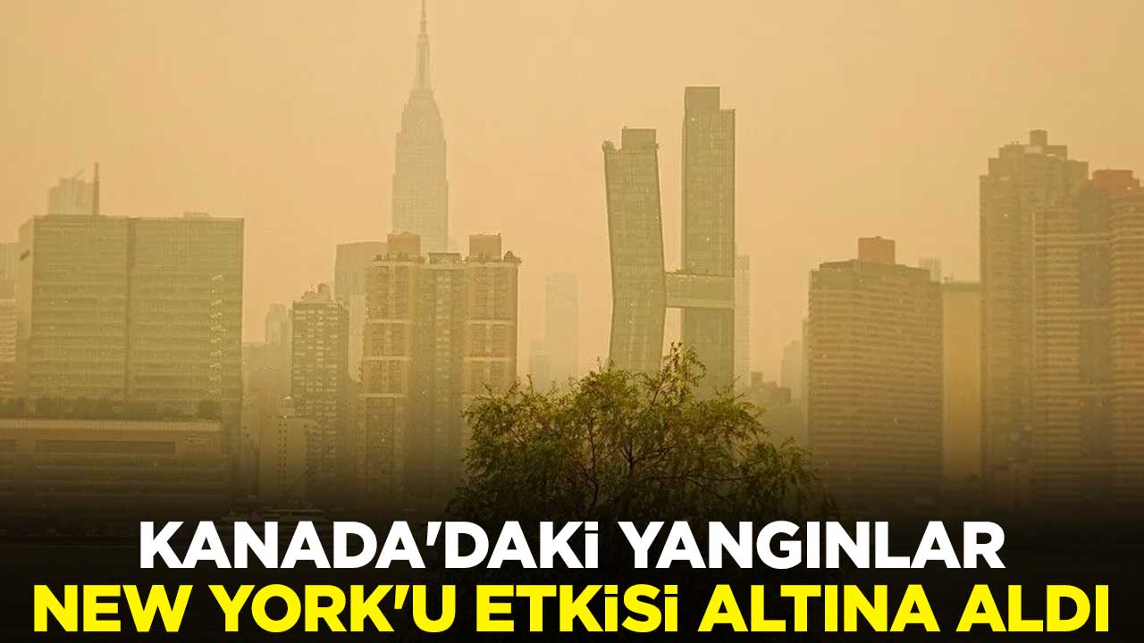 Kanada'daki orman yangınları New York'u etkisi altına aldı