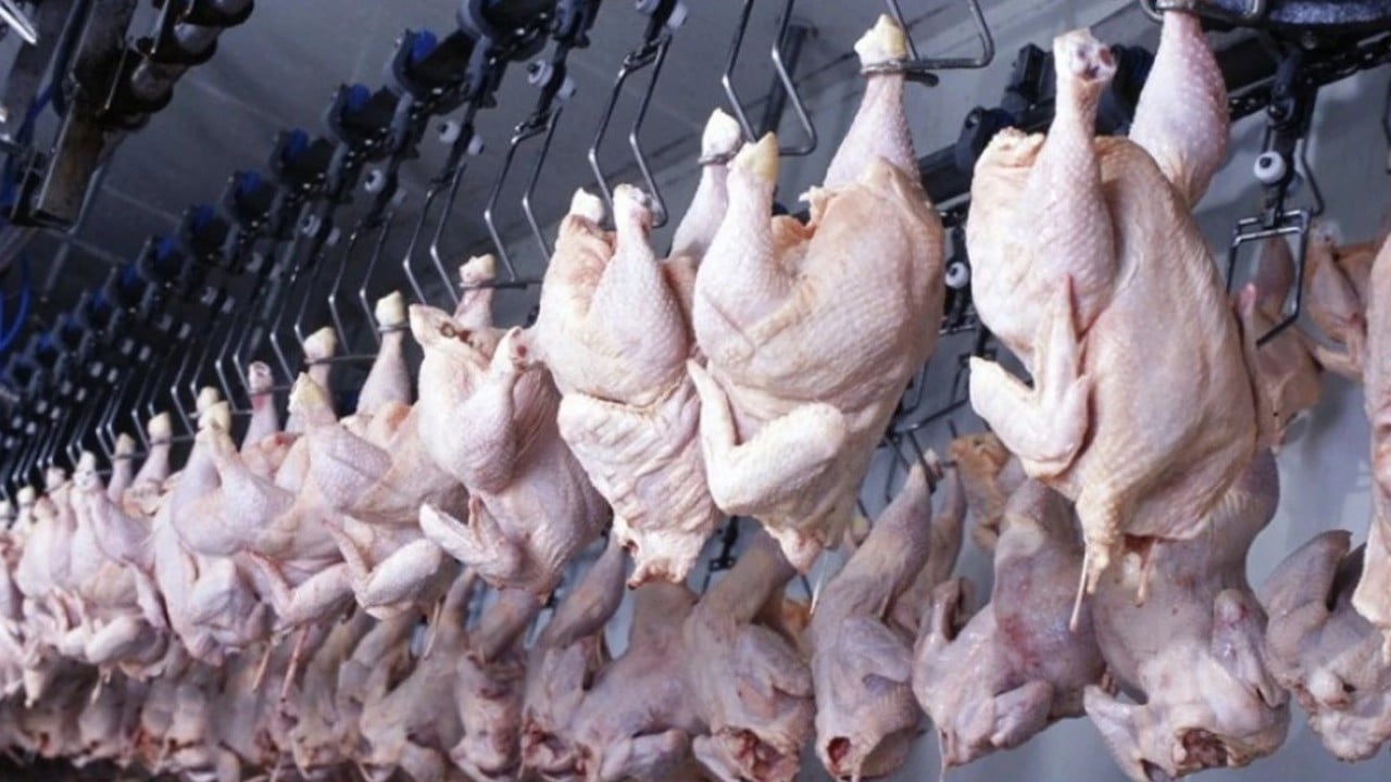 Foto - Kanatlı eti ihracatı durdurulmuştu! Ticaret Bakanlığından flaş açıklama