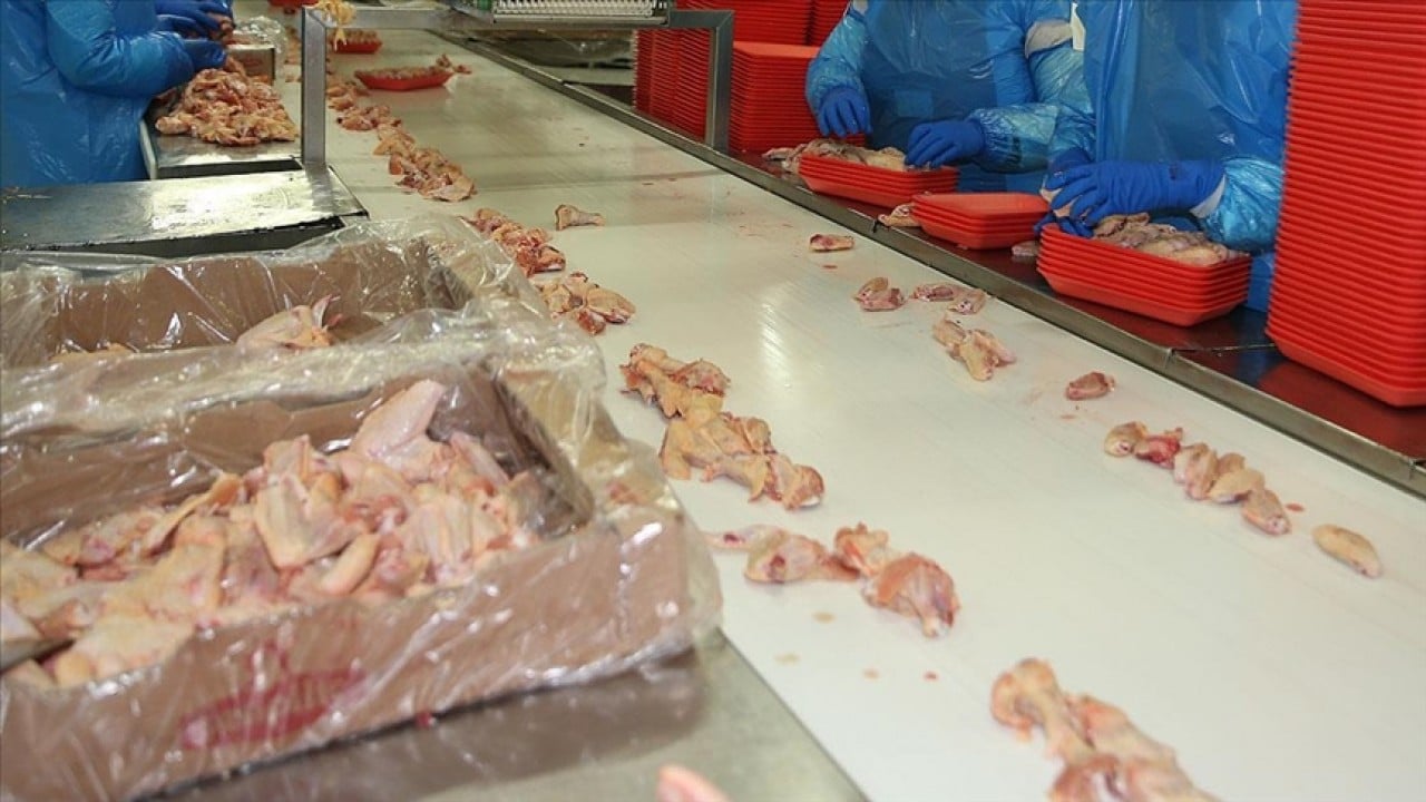 Foto - Kanatlı eti ihracatı durdurulmuştu! Ticaret Bakanlığından flaş açıklama