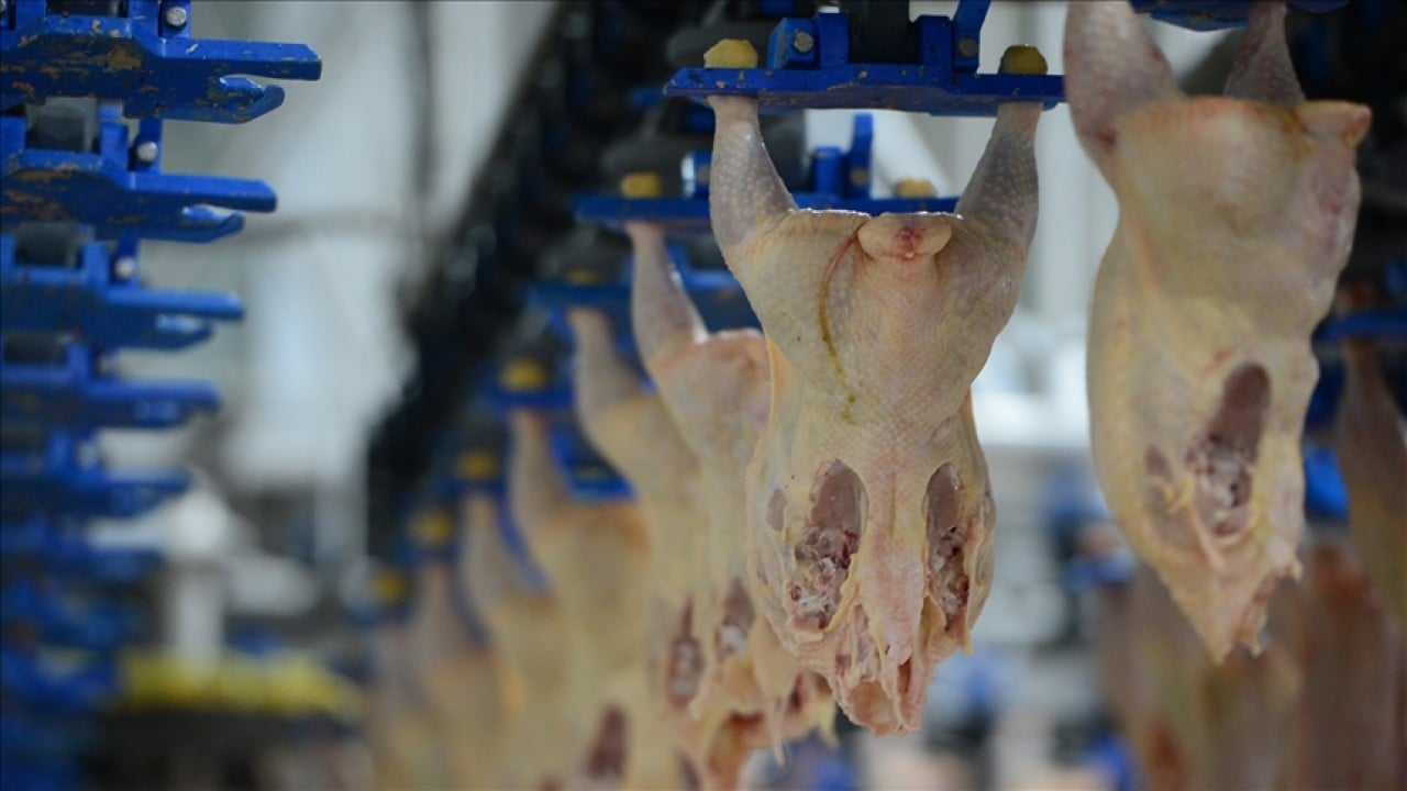 Foto - Kanatlı eti ihracatı durdurulmuştu! Ticaret Bakanlığından flaş açıklama
