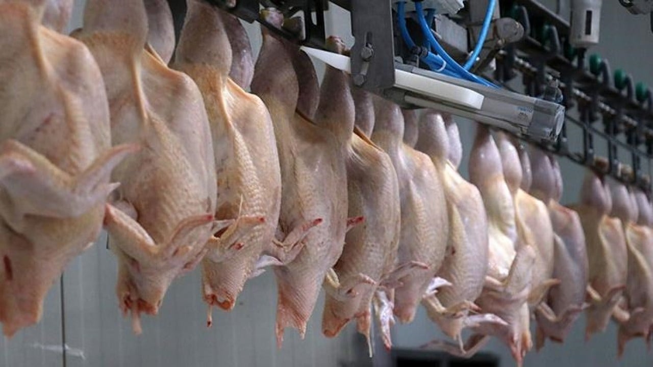 Kanatlı eti ihracatı durdurulmuştu! Ticaret Bakanlığından flaş açıklama