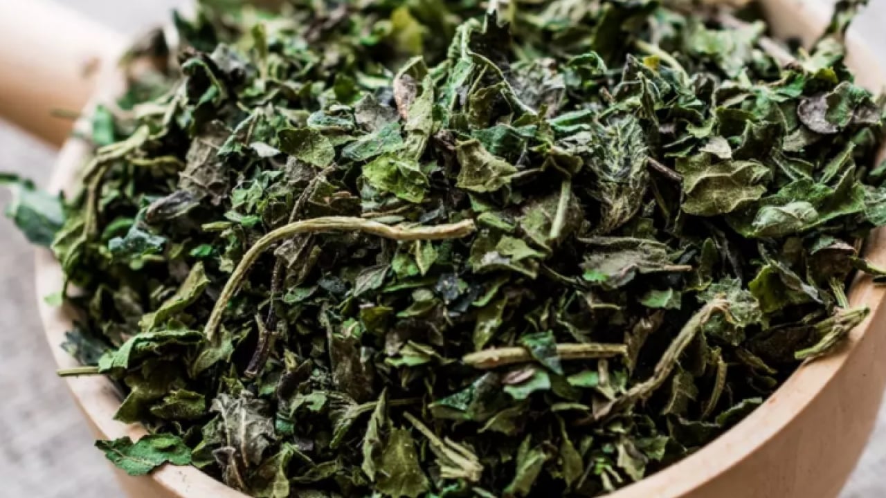 Foto - Kanı temizliyor mikropları öldürüyor: Demir deposu bitki!