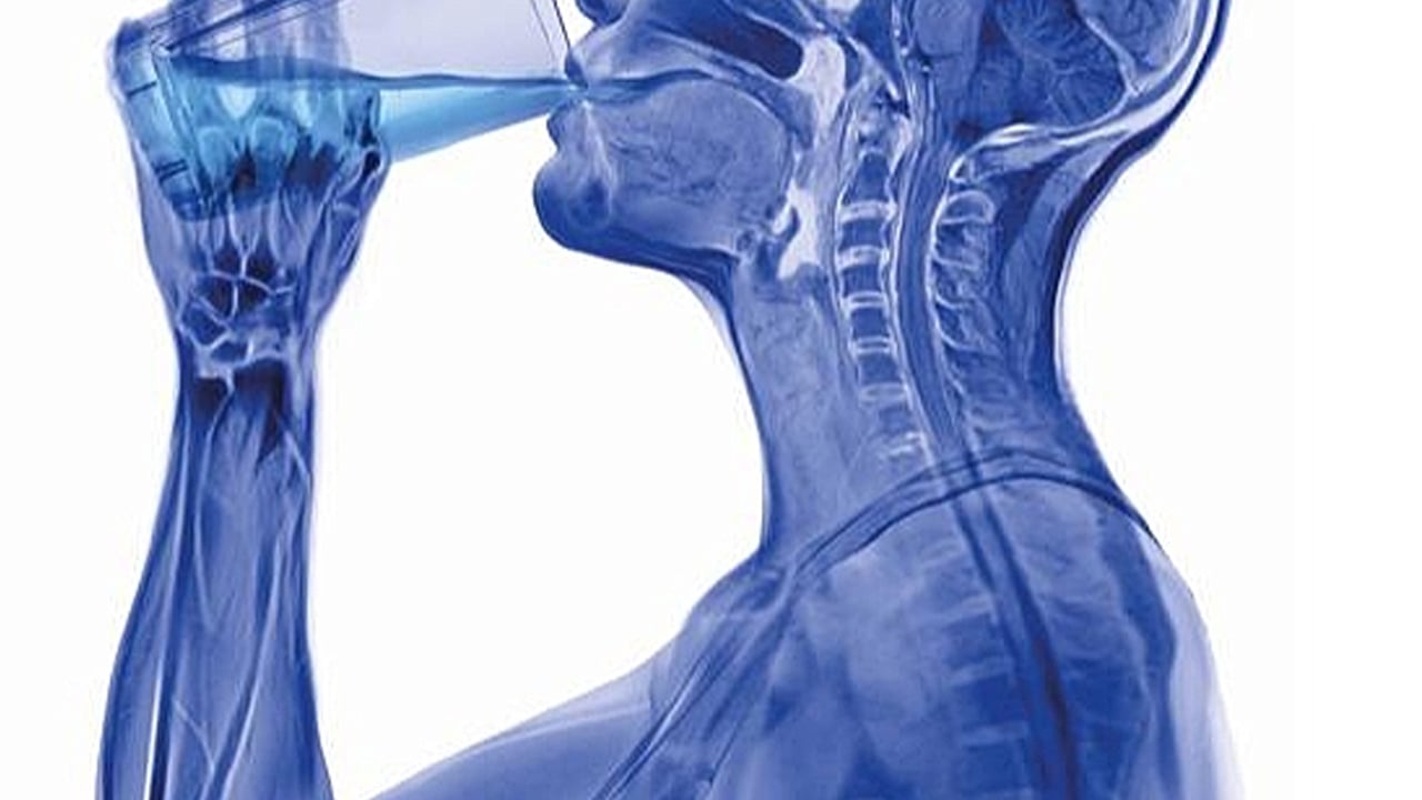 Foto - Kanla besleme deneyi: Beslenen sivrisinekler hakkında bildiklerinizi unutun! Bilim insanlarından paylaşım