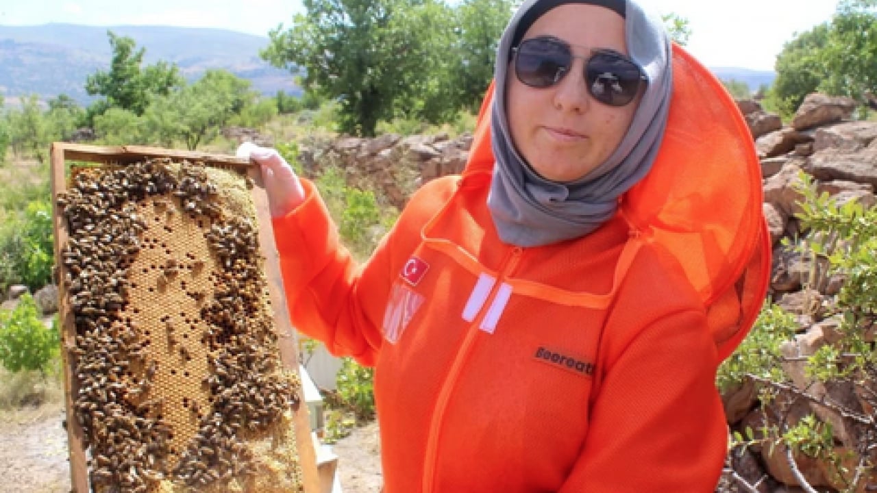 Foto - Kanser hastalığıyla savaşırken arı zehrindeki o şeyi keşfetti: Şimdi taleplere yetişemiyor