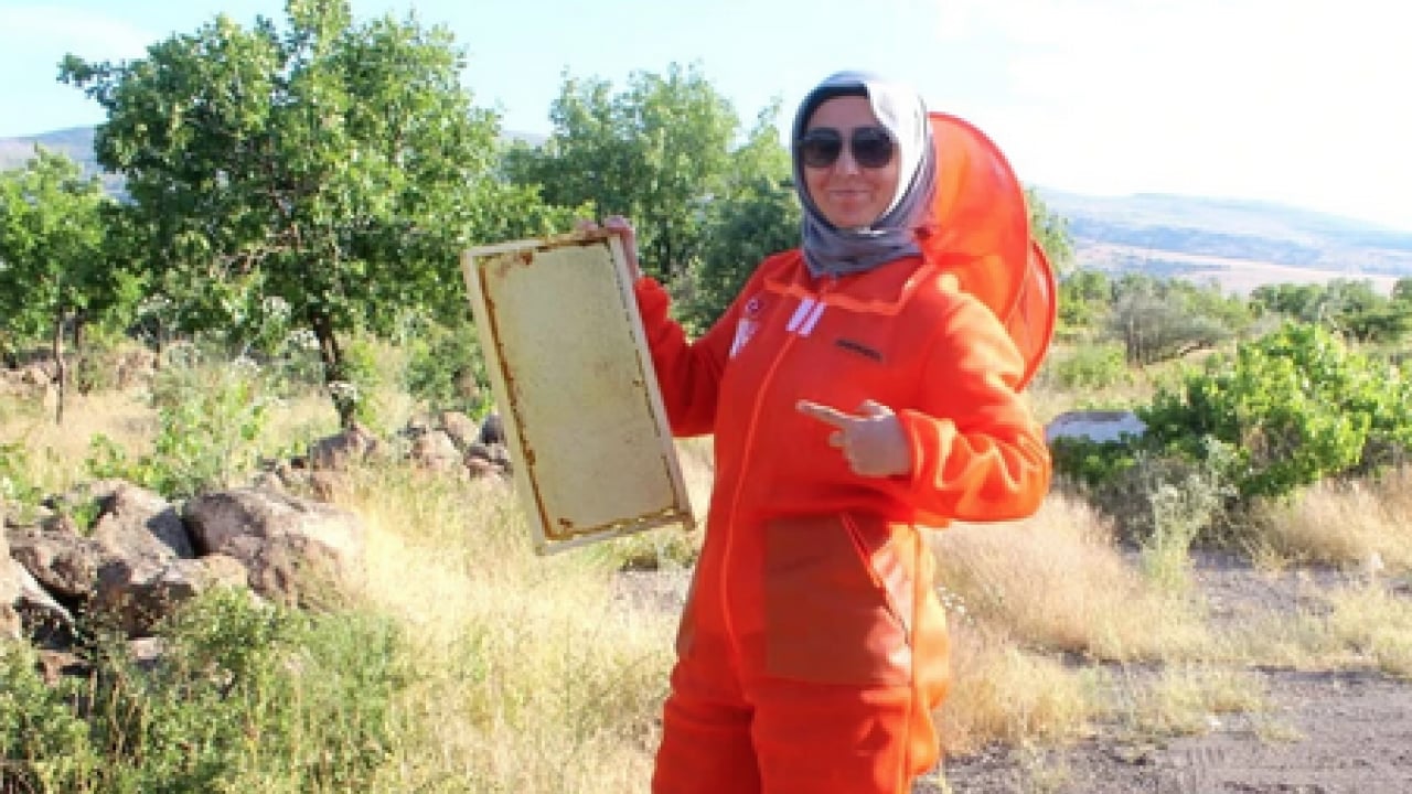 Foto - Kanser hastalığıyla savaşırken arı zehrindeki o şeyi keşfetti: Şimdi taleplere yetişemiyor