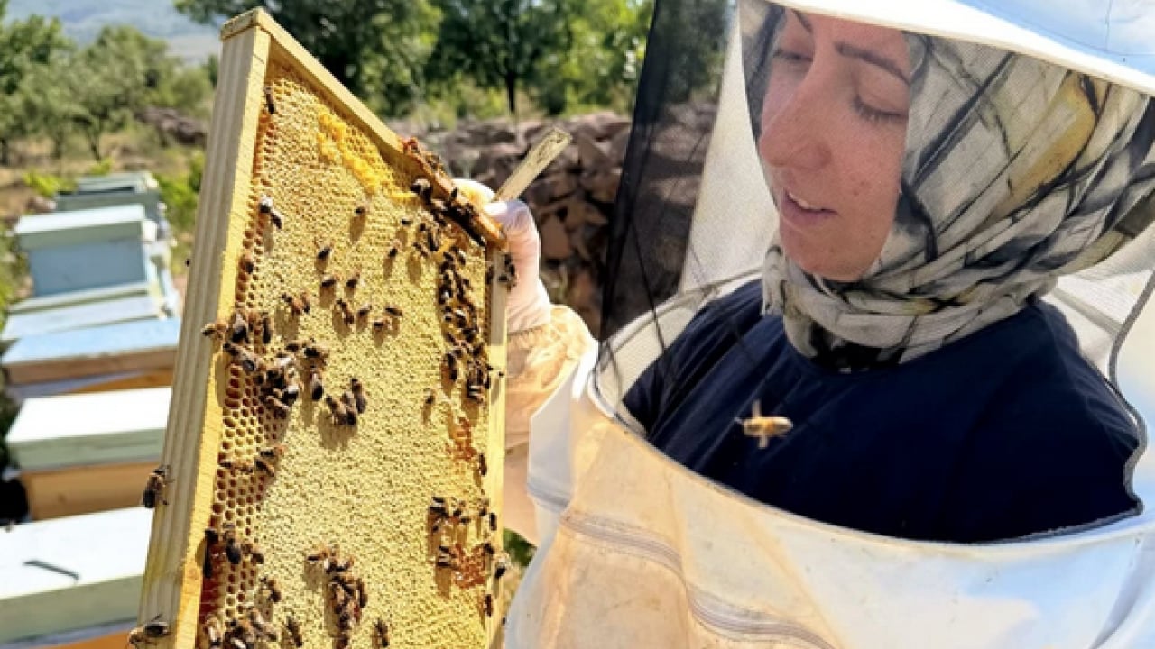 Foto - Kanser hastalığıyla savaşırken arı zehrindeki o şeyi keşfetti: Şimdi taleplere yetişemiyor