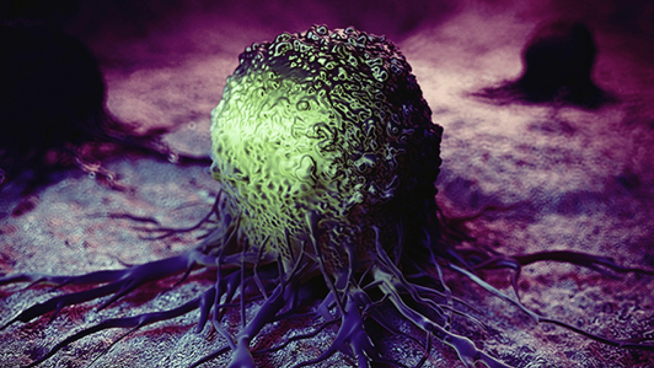 Foto - Kanserden korkma geç kalmaktan kork: Gastroskopik ve kolonoskopik tetkik 