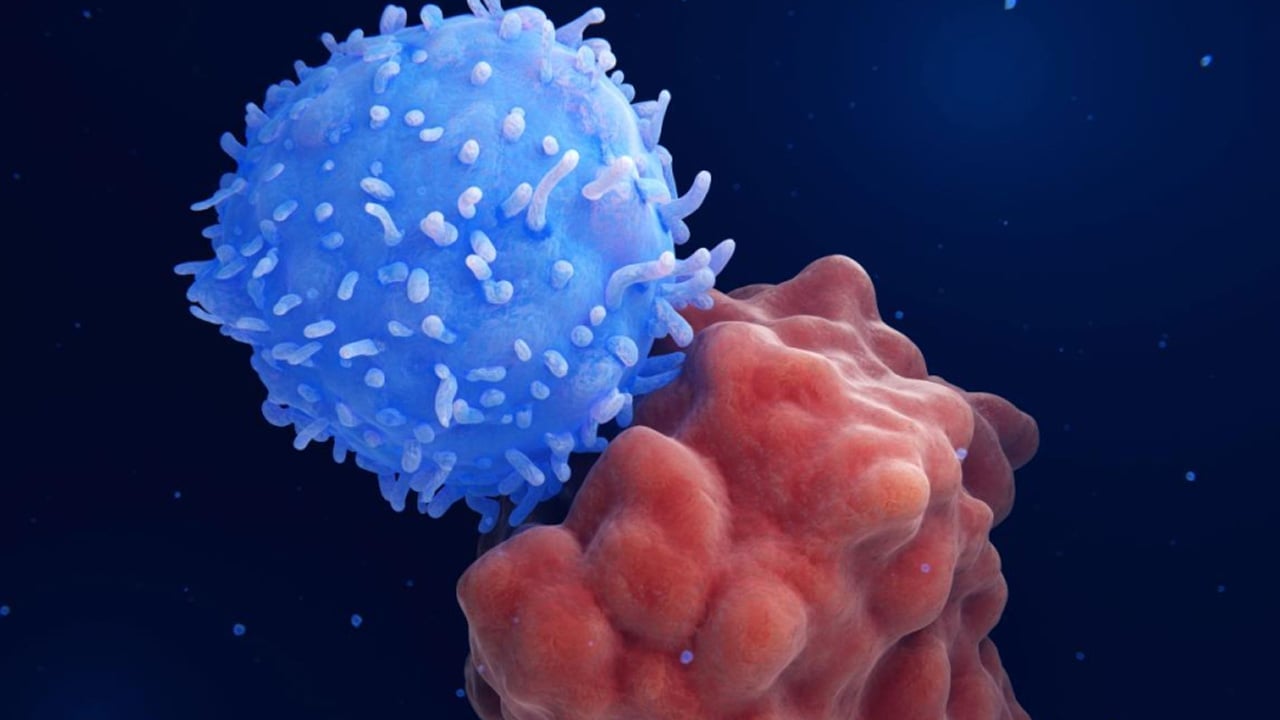 Foto - Kansere karşı kalkan oluyor: Ezber bozan devrimsel mRNA aşısı... İki Üniversite bakın nasıl önlem alacak