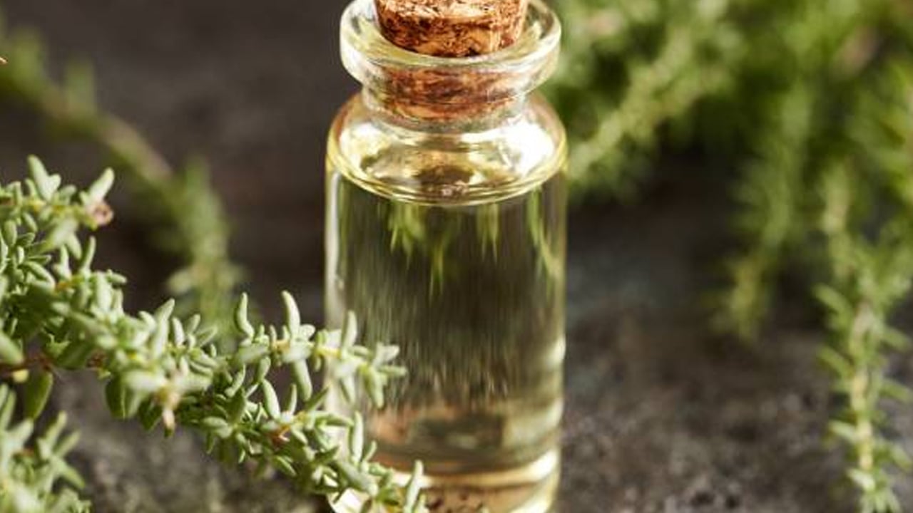 Kansere karşı kekik yeni çare: Çok yıllık bir bitki! Sabahları aç karnına kekik çayı içerseniz! 