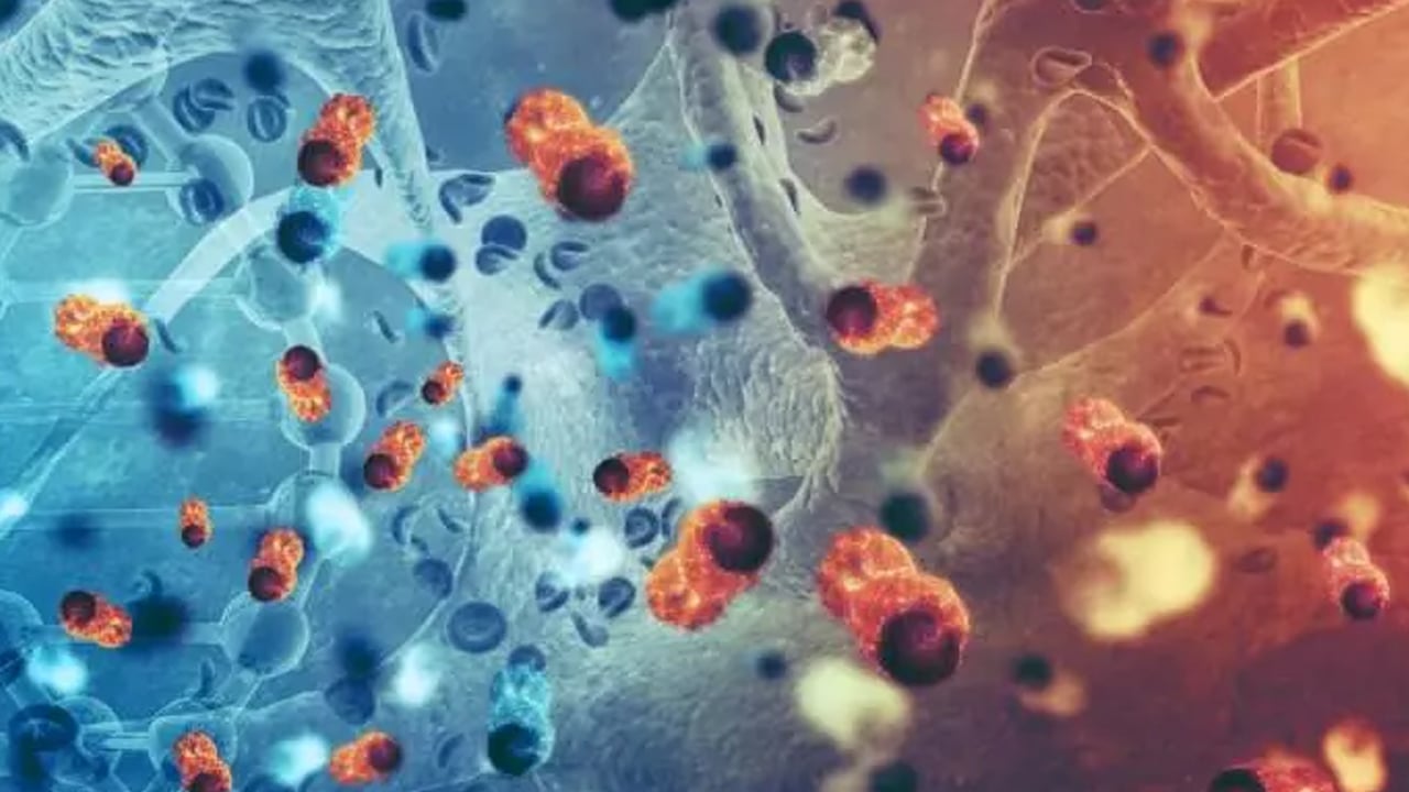 Kanseri yok eden tedavi: Erken tanı tedavisiyle artıyor! Bilim insanları tavsiye ediyor.. Bunun önemli olduğunu ortaya sürdüler