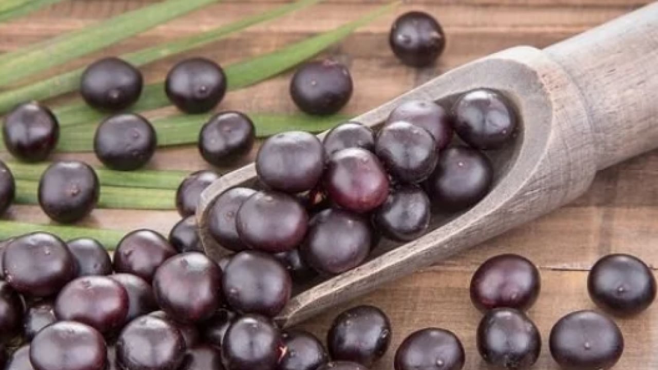 Kanserli Hücrelere saldırıp yok ediyor: Son yapılan araştırmalar belli oldu! Alternatif yoksa kansere çare olabilir