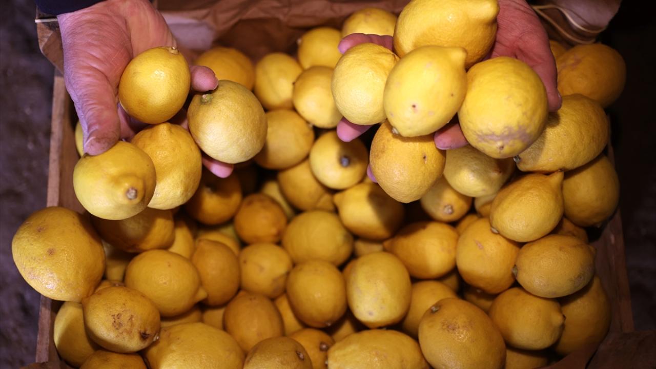 Foto - Kapadokya'daki mağaraların ‘yatak limon’ lezzet sırrı!