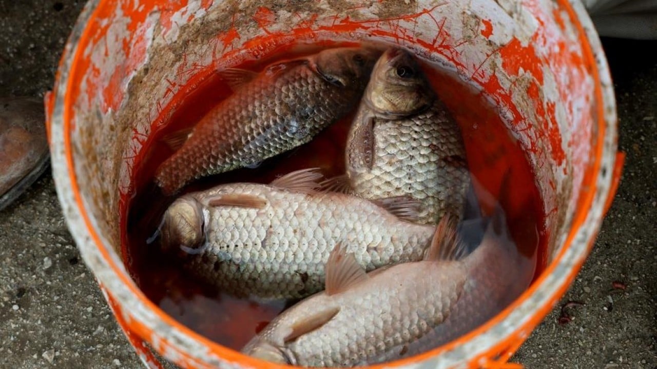 Foto - Kapaklar açıldı, herkes nehre koştu Barajla gelen bereket kovaları doldurdu