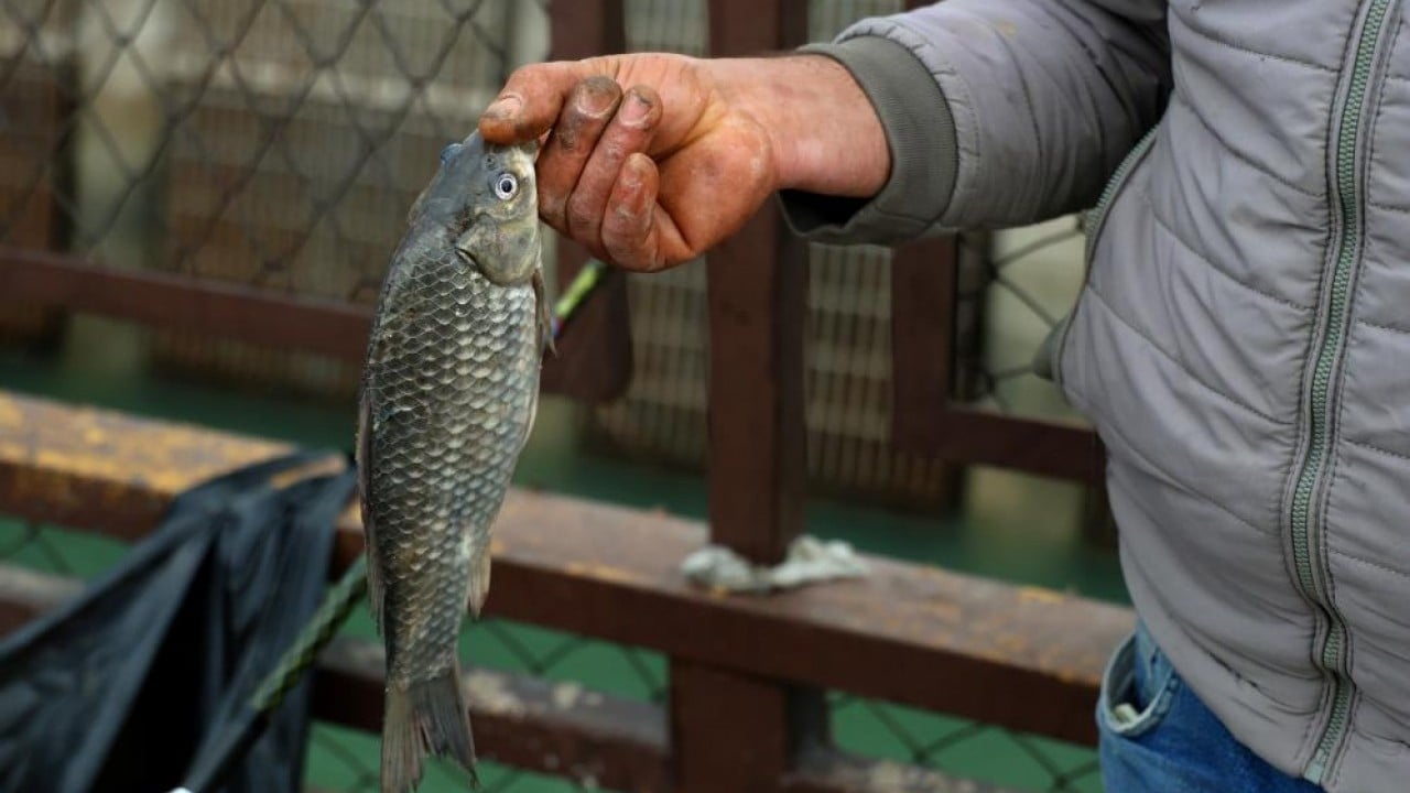 Foto - Kapaklar açıldı, herkes nehre koştu Barajla gelen bereket kovaları doldurdu