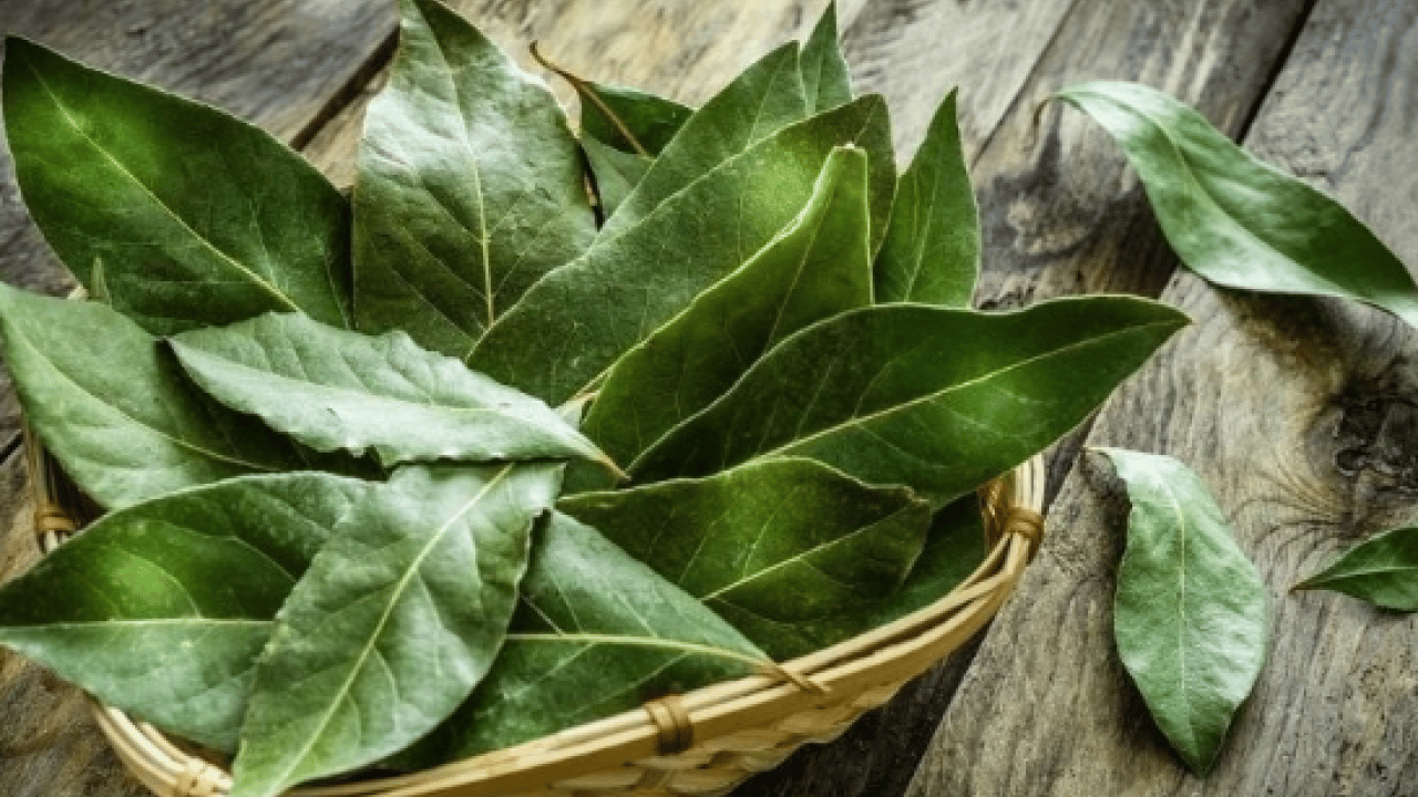 Foto - Kaplıcalara gitmeye gerek kalmadı: İşte dizlere derman olan mucize karışım!