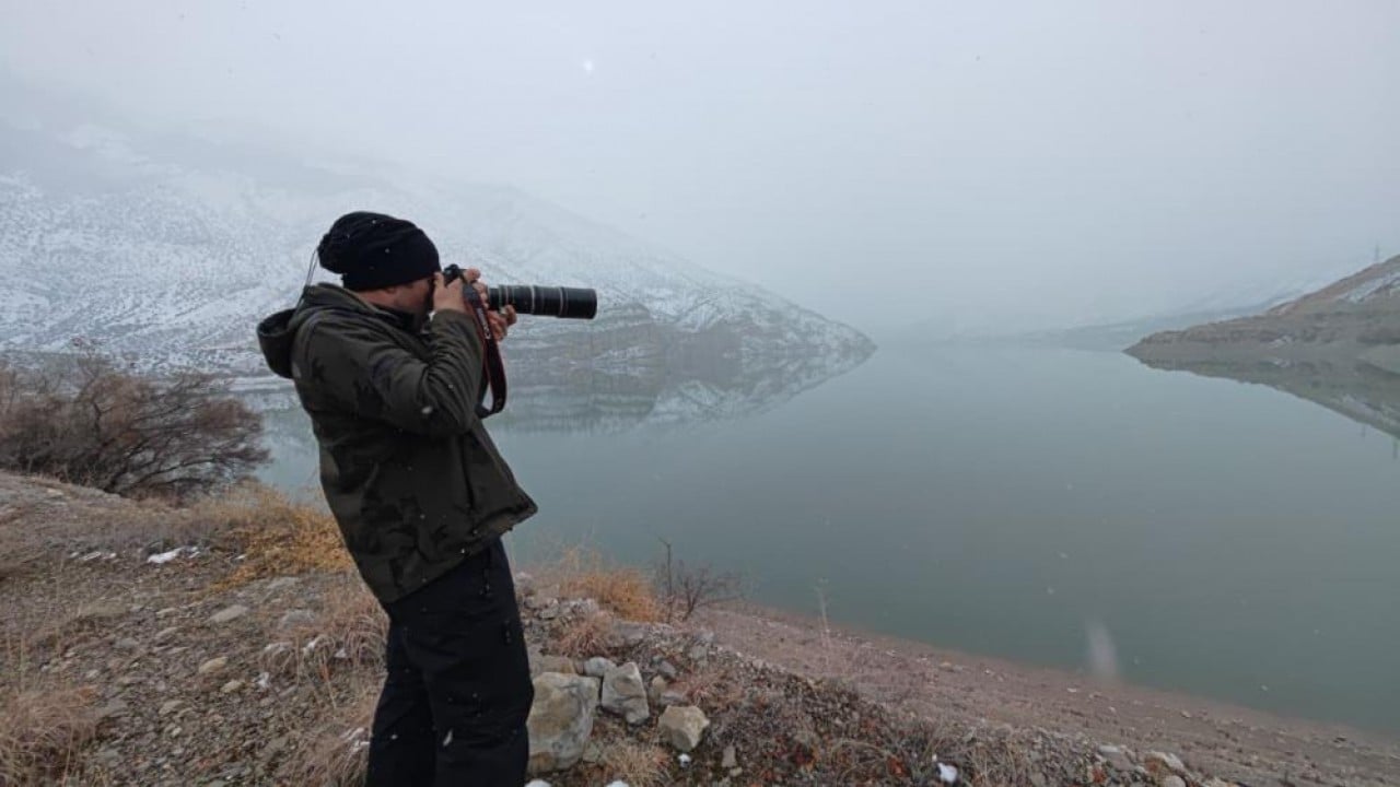 Foto - Kar altında tek tek kuş saydılar