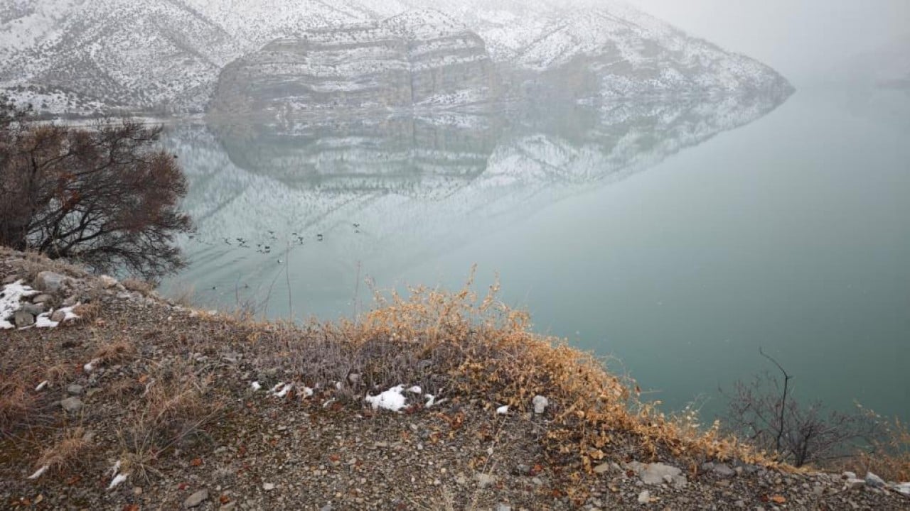 Foto - Kar altında tek tek kuş saydılar