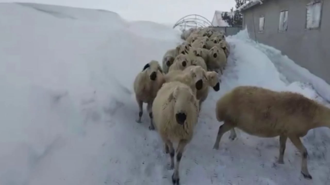 Foto - Kar kalınlığı 2 metreyi geçti! Son 15 yılın en kuvvetli yağışı oldu