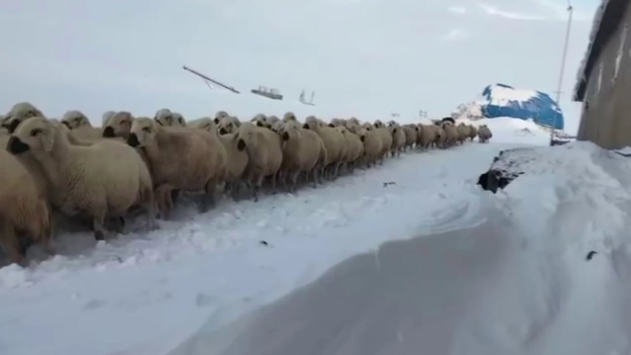 Foto - Kar kalınlığı 2 metreyi geçti! Son 15 yılın en kuvvetli yağışı oldu