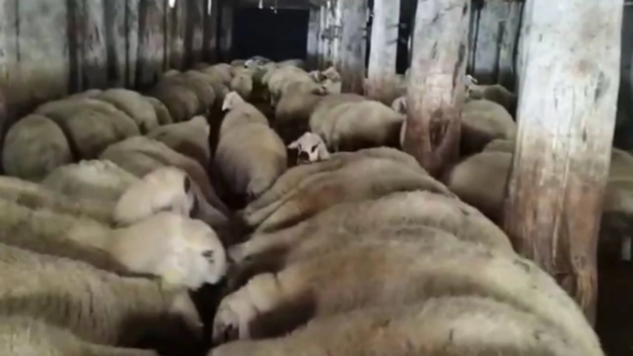 Foto - Kar kalınlığı 2 metreyi geçti! Son 15 yılın en kuvvetli yağışı oldu