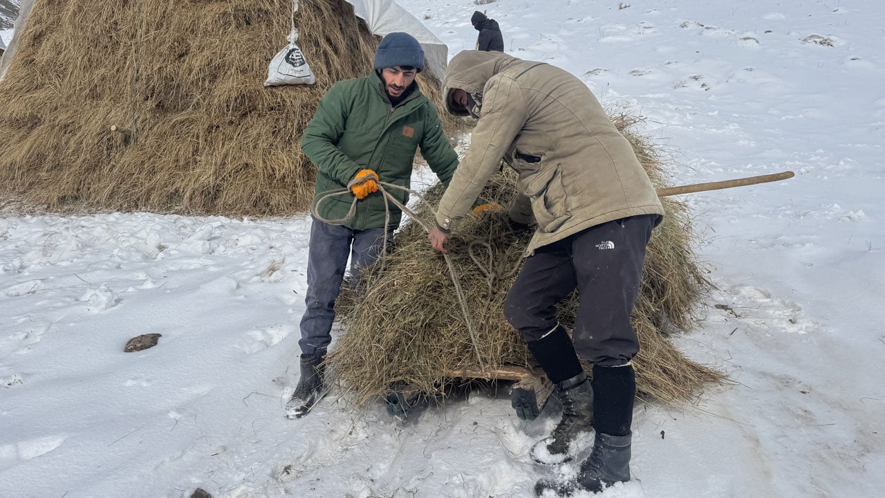 Foto - Kar, kış, soğuk! Yüksekova’da besicilerin zorlu mesaisi