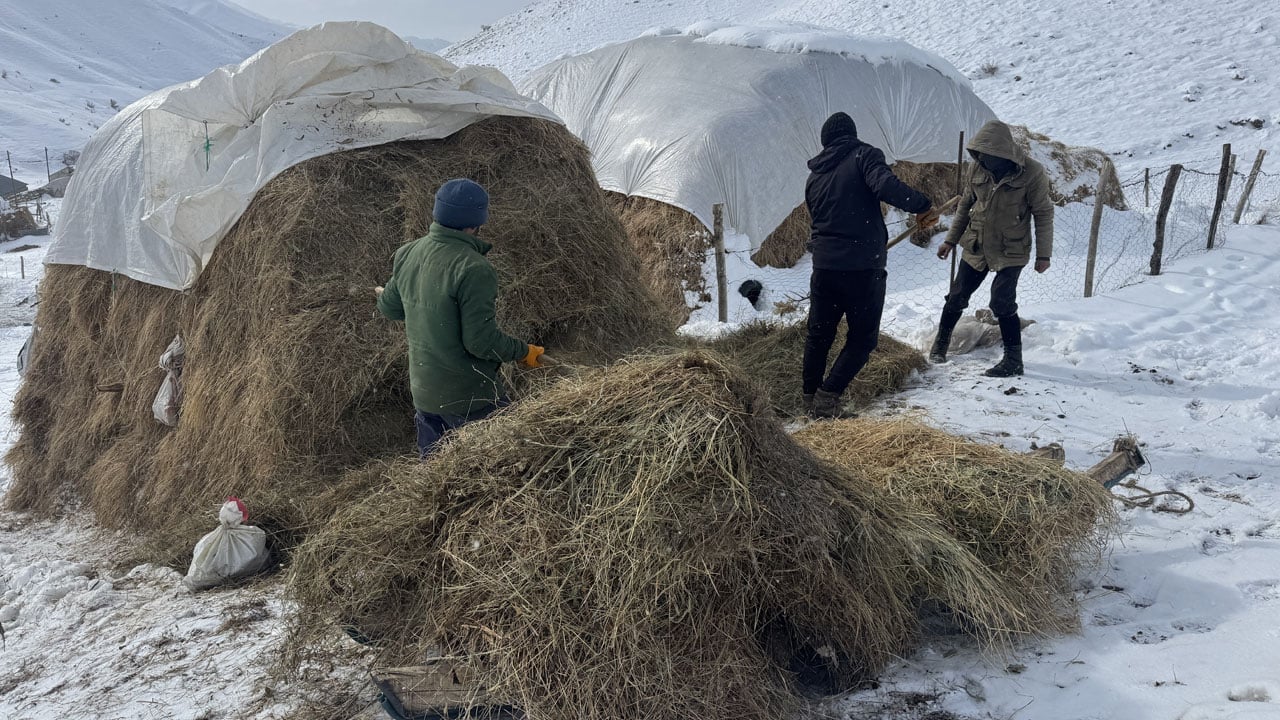 Foto - Kar, kış, soğuk! Yüksekova’da besicilerin zorlu mesaisi