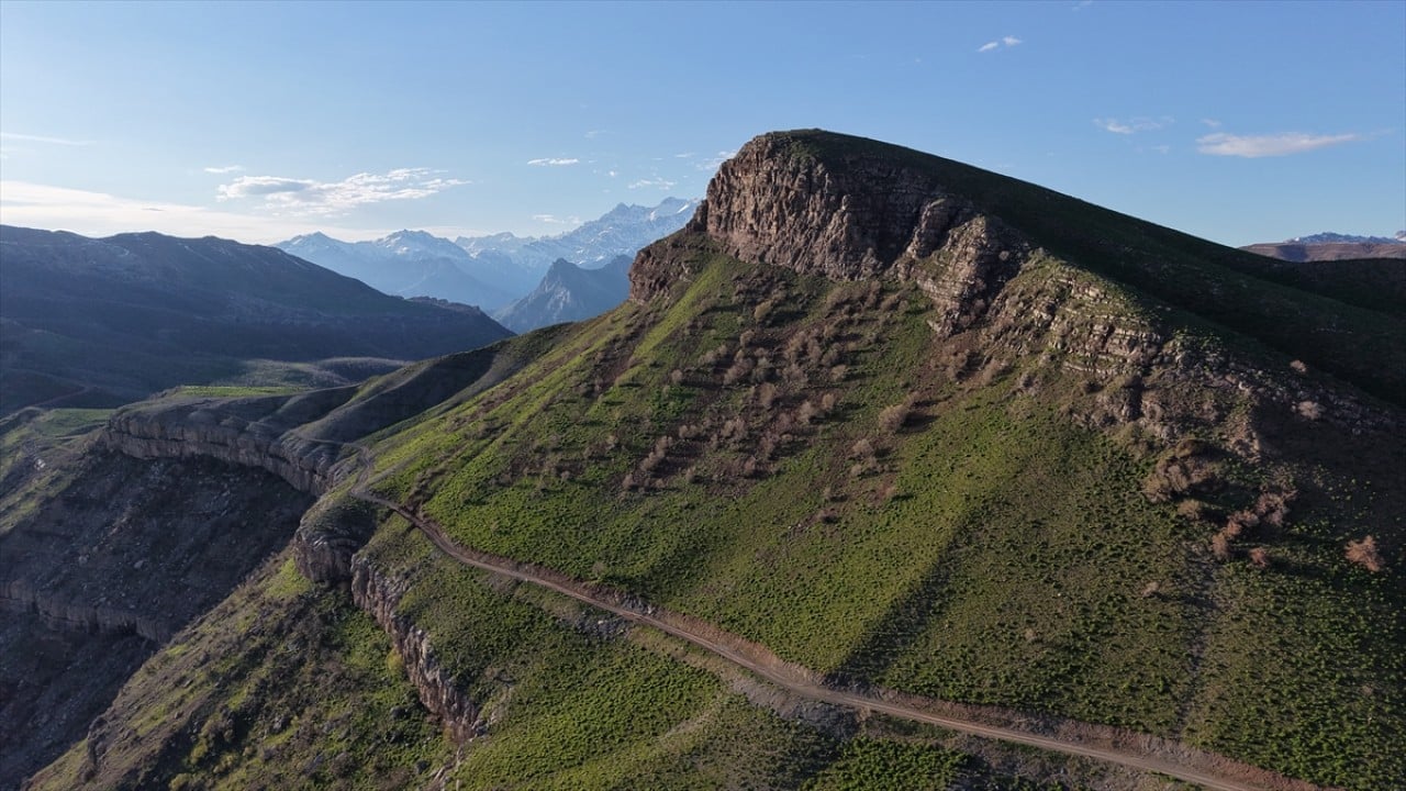 Foto - Kar suları eridi! Yayla çiçek bahçesine döndü