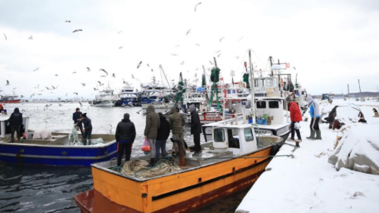 Foto - Kar ve sis balıkçıyı vurdu: Tekneler kıyıya çekildi! 5 gün avlanma yasağı geldi