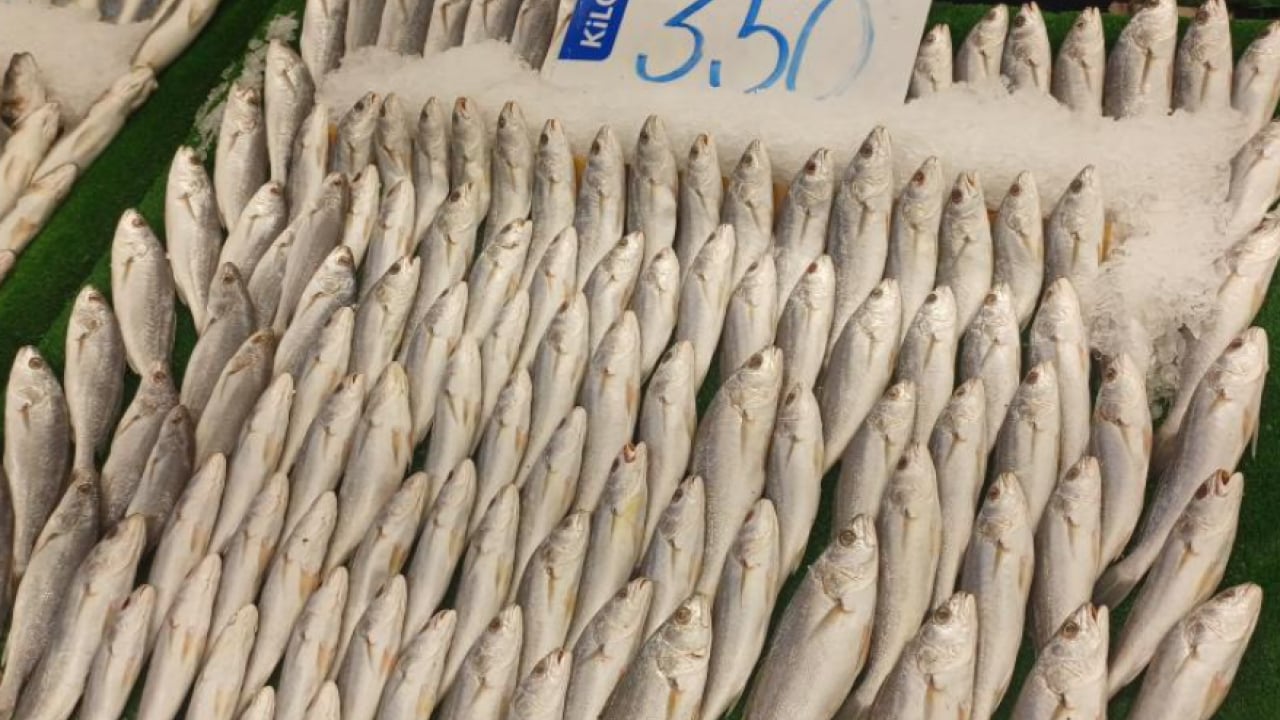 Foto - Kar yağdı balık tezgahları doldu taştı