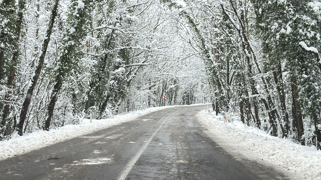 Kar yağınca masala döndü! "Ağaç tünel yol" büyüledi