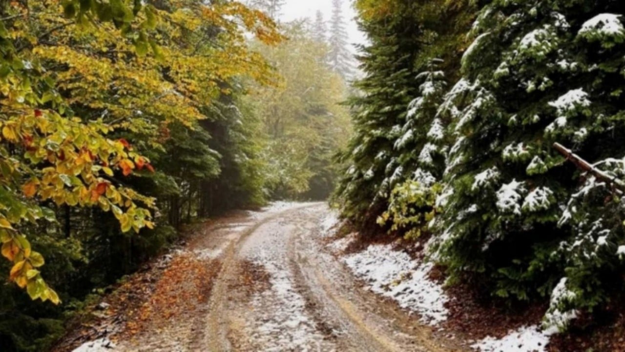 Foto - Kar yağışı çok fena bastırdı! 15 ilimiz aniden beyaza büründü