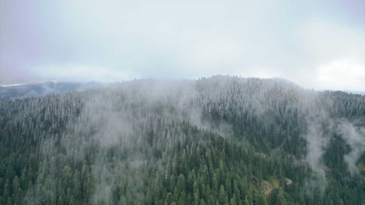 Foto - Kar yağışı çok fena bastırdı! 15 ilimiz aniden beyaza büründü