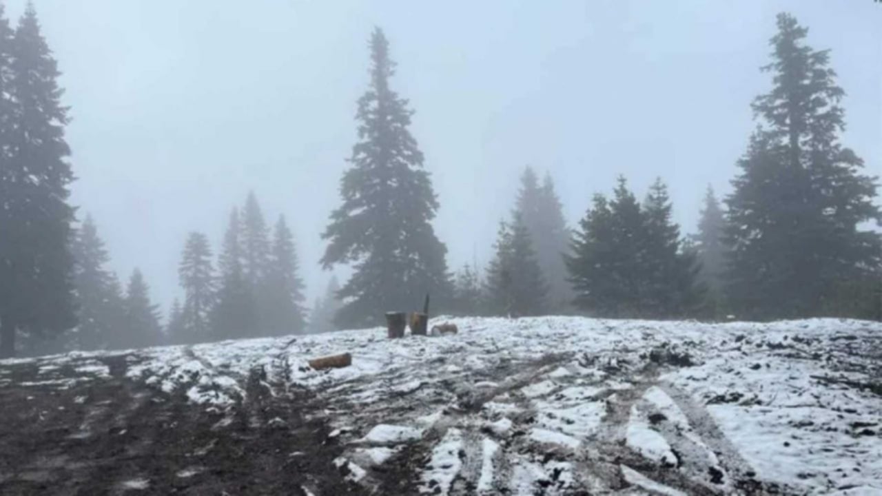 Foto - Kar yağışı çok fena bastırdı! 15 ilimiz aniden beyaza büründü
