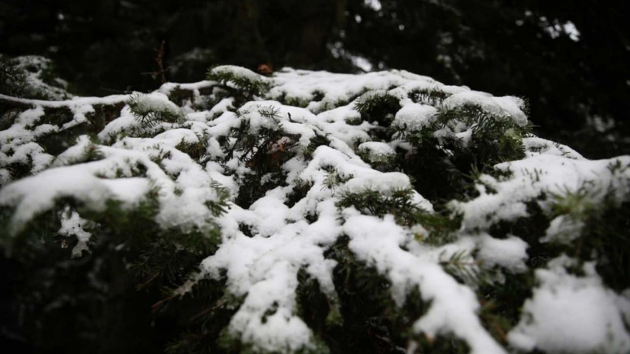 Foto - Kar yağışı çok fena bastırdı! 15 ilimiz aniden beyaza büründü