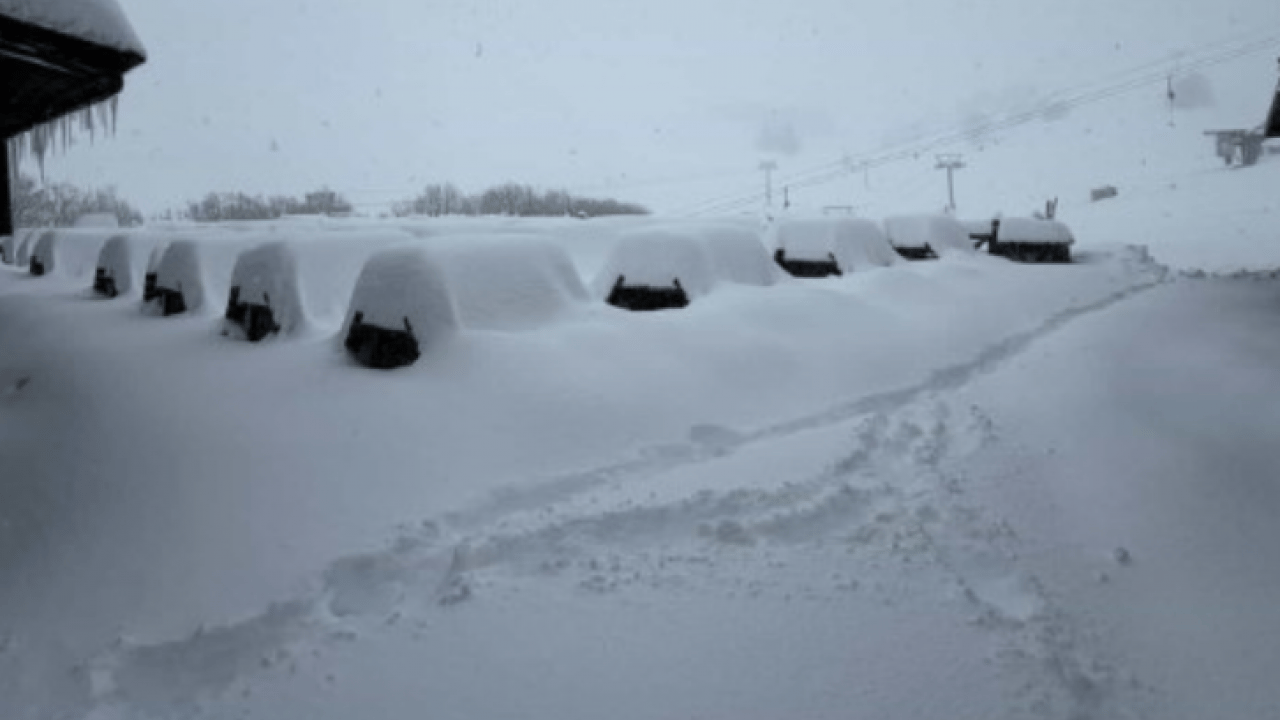 Foto - Kar yağışını fırsat bildiler! Koşa koşa oraya gittiler!