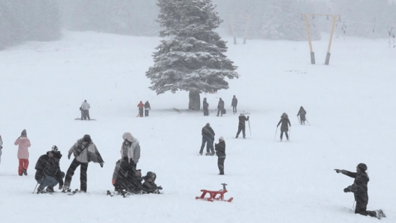 Foto - Kar yağışını fırsat bildiler! Koşa koşa oraya gittiler!