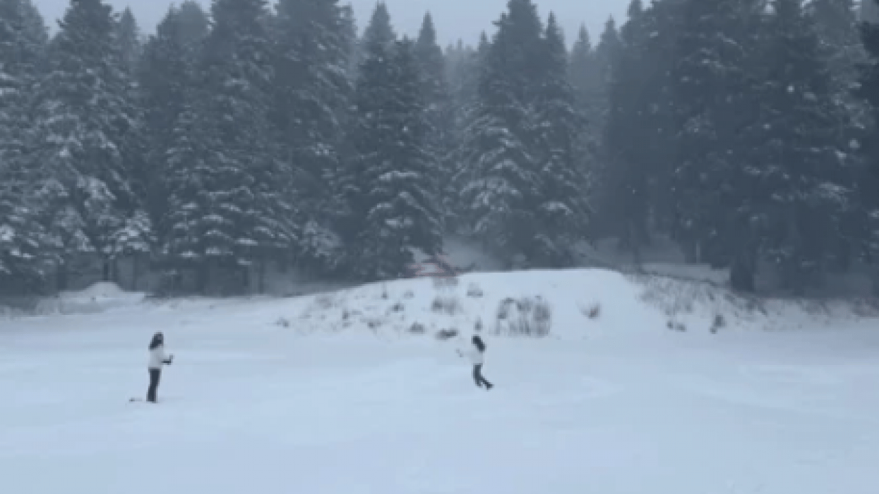 Foto - Kar yağışını fırsat bildiler! Koşa koşa oraya gittiler!