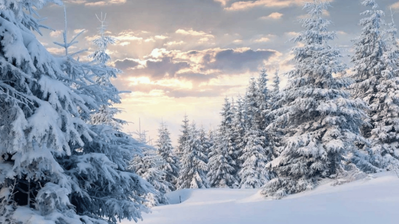 Foto - Kar yağışının bilinmeyen faydası ortaya çıktı: Meğer hastalıklara iyi geliyormuş!