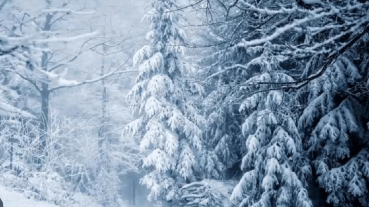 Foto - Kar yağışının bilinmeyen faydası ortaya çıktı: Meğer hastalıklara iyi geliyormuş!