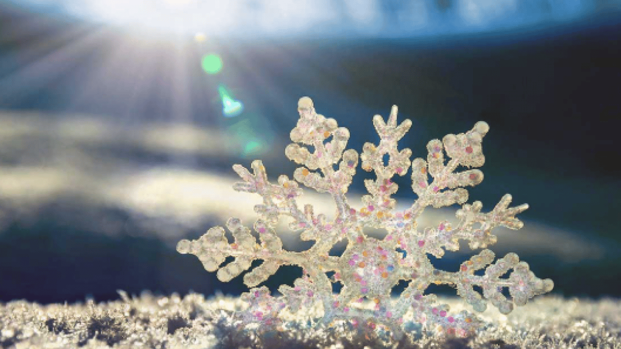 Foto - Kar yağışının bilinmeyen faydası ortaya çıktı: Meğer hastalıklara iyi geliyormuş!