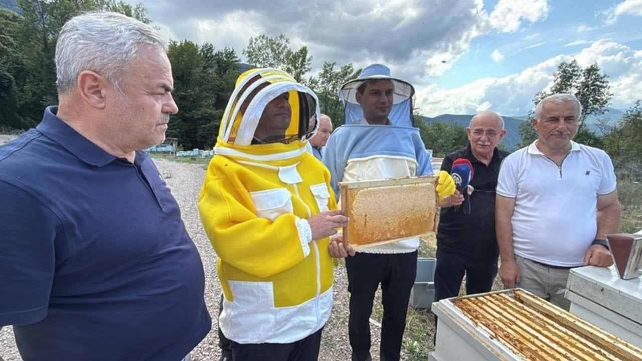 Foto - Karabük’ün "sıvı altını" bin 250 TL’ye kapış kapış satılıyor: Japonlar tadına bakmak için sıraya girdi