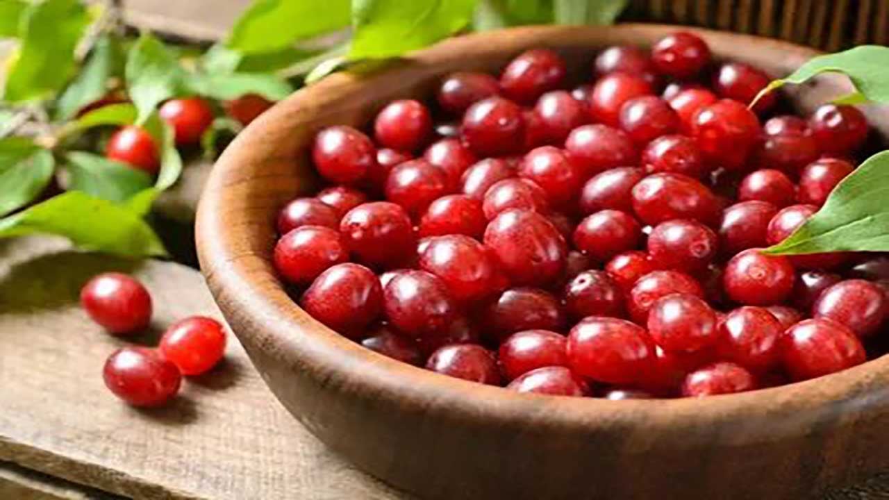 Foto - Karaciğer dostu mucize meyve! Bunu tüketenlerin yağlanma derdi bitiyor!