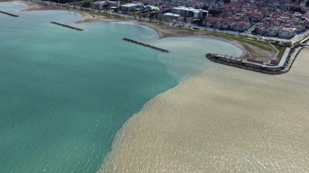 Karadeniz alarm veriyor: Suyun rengi değişti