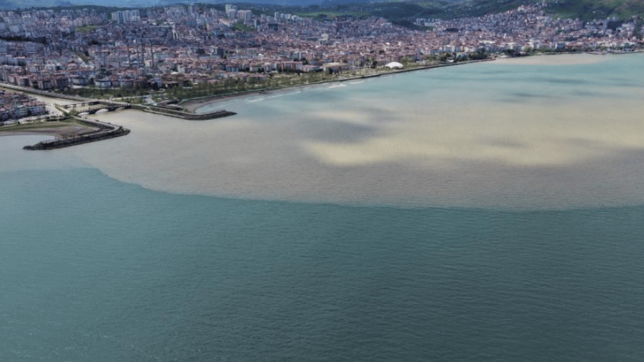 Foto - Karadeniz alarm veriyor: Suyun rengi değişti