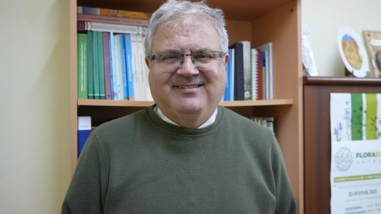 Foto - Karadeniz ormanlarını tırtıl istilası tehdit ediyor