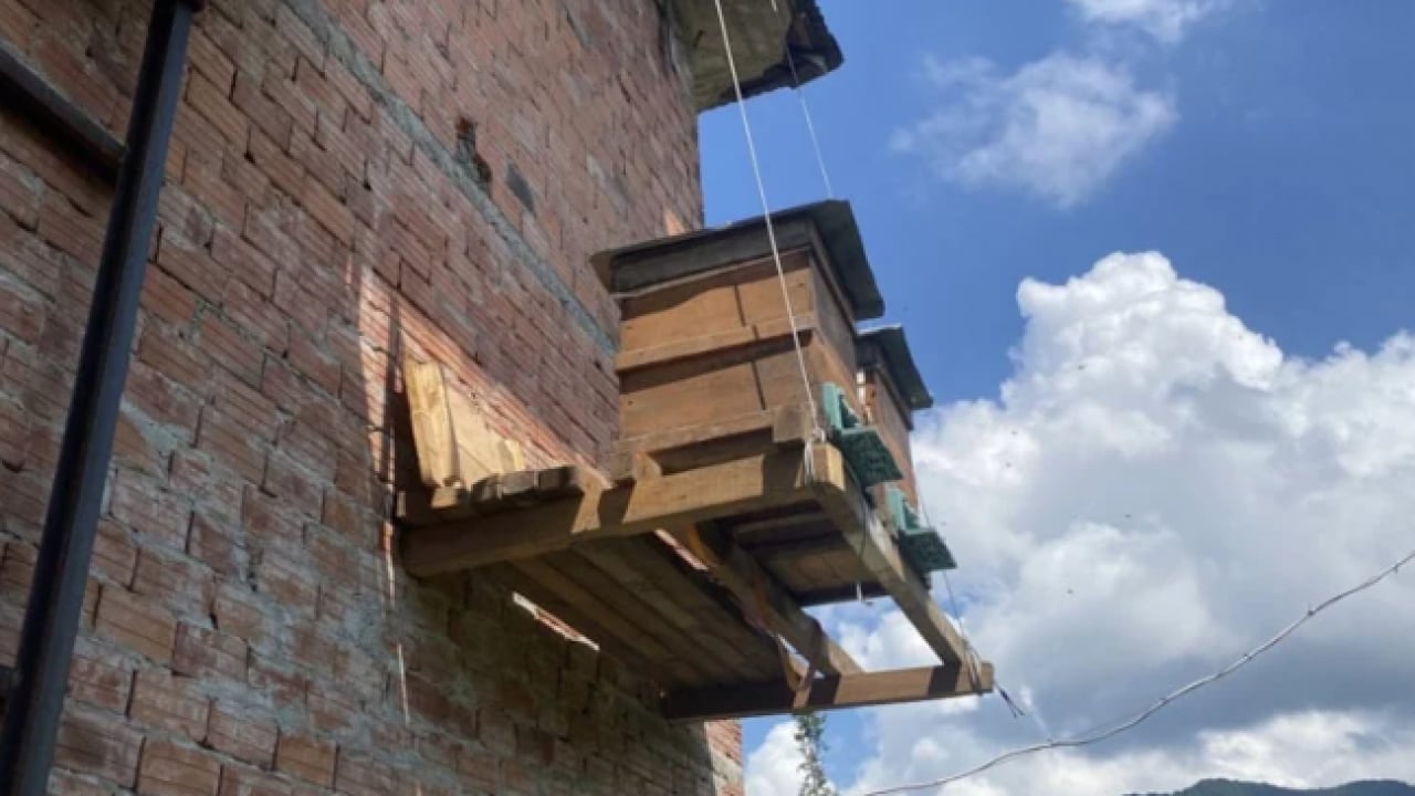 Foto - Karadeniz zekası devrede: Rize'de ayılara karşı yeni sistem
