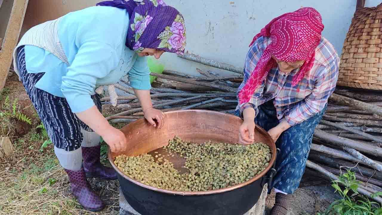 Foto - Karadeniz'de geleneksel mesai başladı: Doğal dut pekmezi şifa için kaynıyor