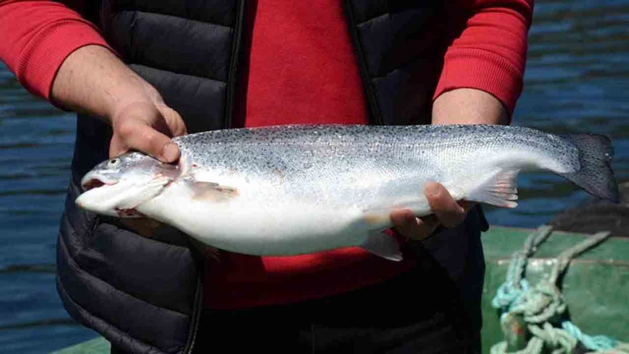 Foto - Karadeniz’e döviz yağdı: 60 milyon dolarlık ihracat rekoru