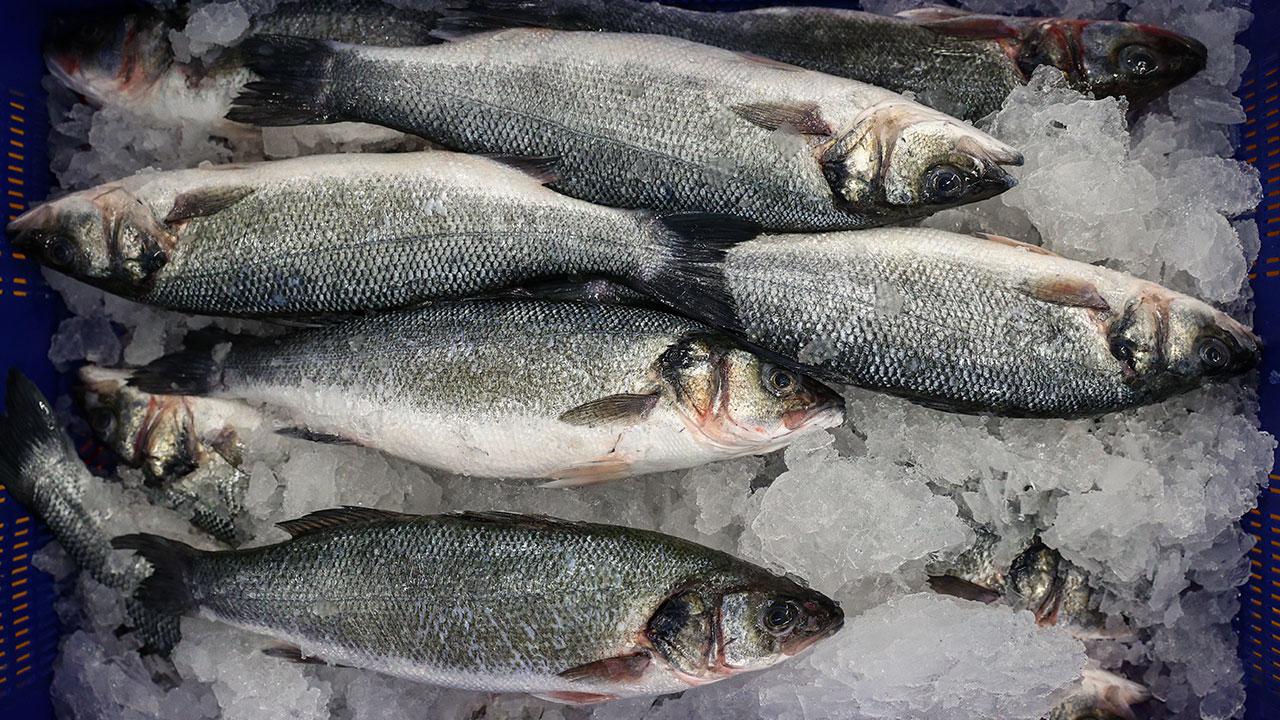 Foto - Karadeniz'in su ürünleri 22 ülkeye satıldı! İhracatı ilk çeyrekte 85 milyon doları aştı