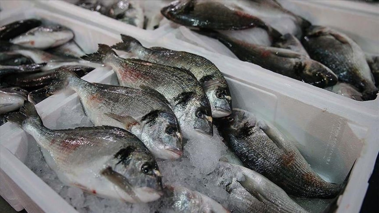 Foto - Karadeniz'in su ürünleri 22 ülkeye satıldı! İhracatı ilk çeyrekte 85 milyon doları aştı